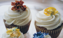all organic cupcakes