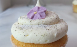 locally grown lavender cupcakes